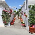 Charming In - 80m² Apartamento Alberobello