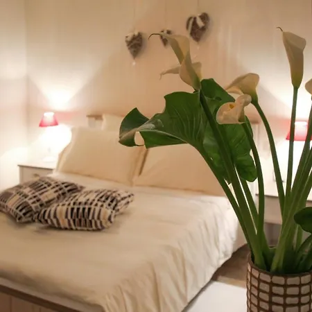 Charming In - 80m² Αλμπερομπέλο