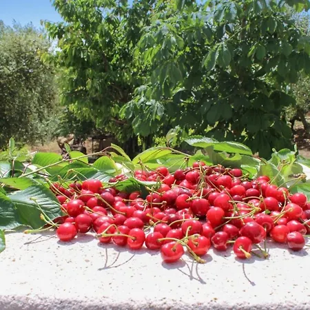 Charming In - 80m² Apartament